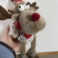 慌てて出したクリスマスの飾り。