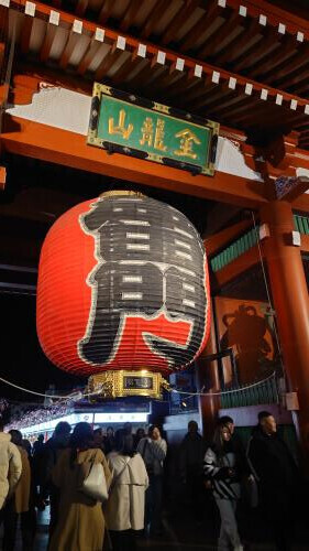 今日もおります