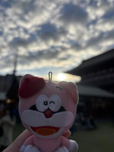 💛今年のおみくじ💛