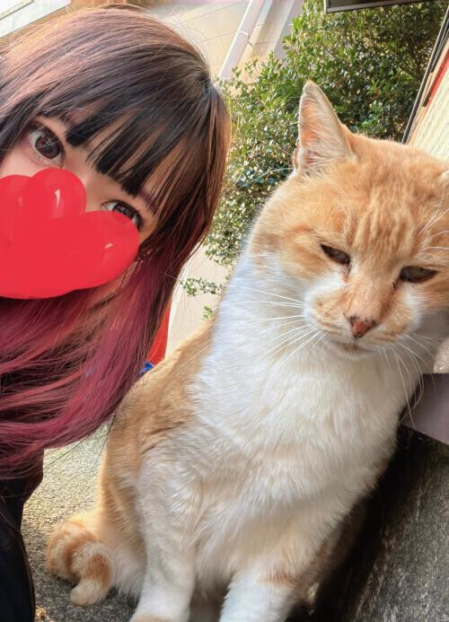 すみません🙇🏻‍♀️