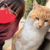 すみません🙇🏻‍♀️