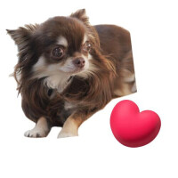 逢いたいなぁ💗