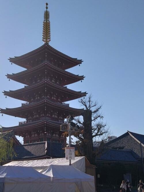 れみです〰かなりお久しぶりです💦