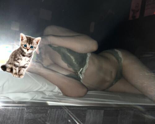 おなにすとと呼んでくださいまし