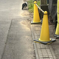 賢く生き渡る。