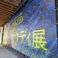 おは寒ございます！