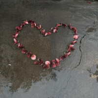 人生って。。。