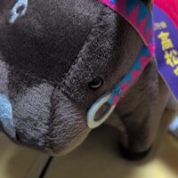 おは寒ございます！