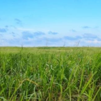 日差しポカポカありがとうございました！