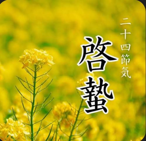 啓蟄も最強開運日も5日でした！