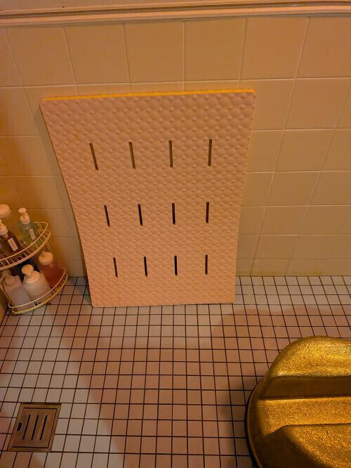 まるでチェコ戦のような