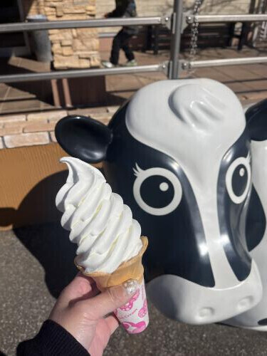 お休み頂いてます。