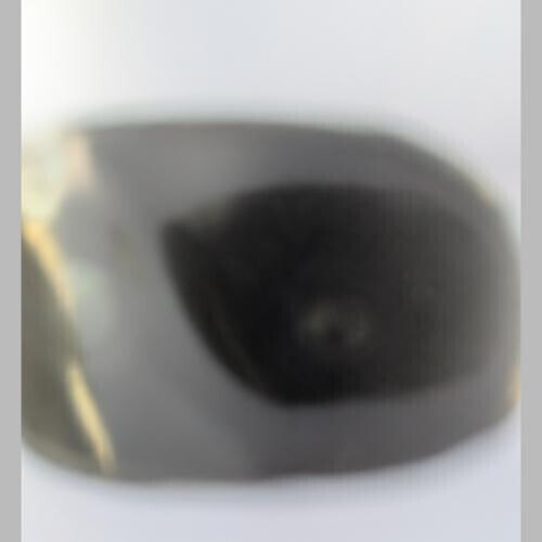 旦那様のお陰様で雪な〜い！