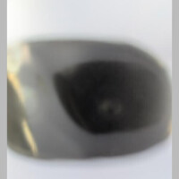 旦那様のお陰様で雪な〜い！