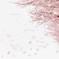 桜開花宣言か！？