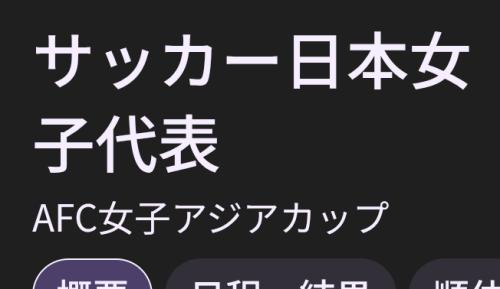 花火が打ち上がったー！