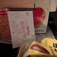 桜が咲き始めた暖かい日に