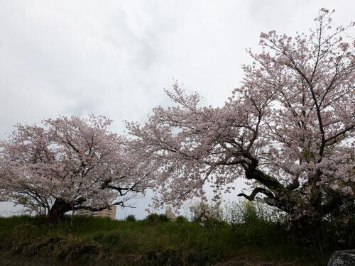 雨のおこもりデート