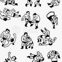 サタデーナイト！ハッスルハッスル！