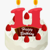 11歳ではない笑