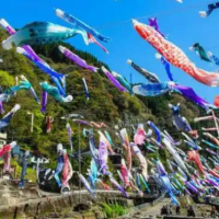 写真はイメージです