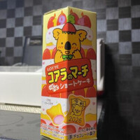 今日はお休みです🌙