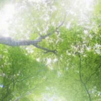 癒されて(*´∀｀*)