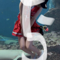 七枚目