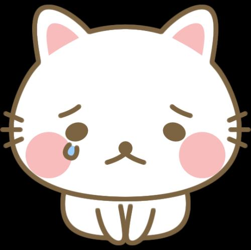 すみません😭