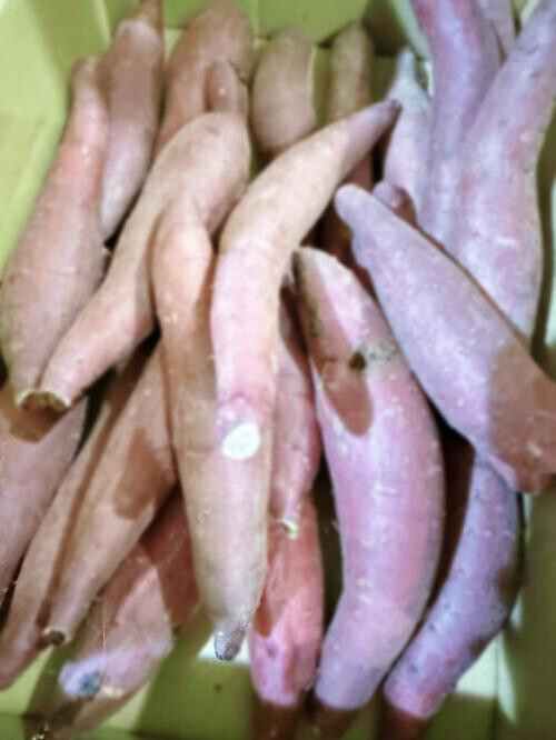 おいも