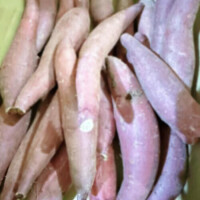おいも
