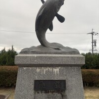 明日迷い中