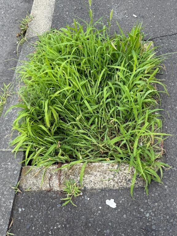 友達が落ちた穴