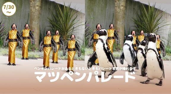 マツペンサンバ