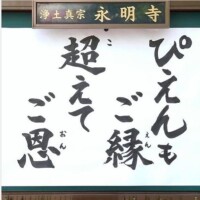ひなた