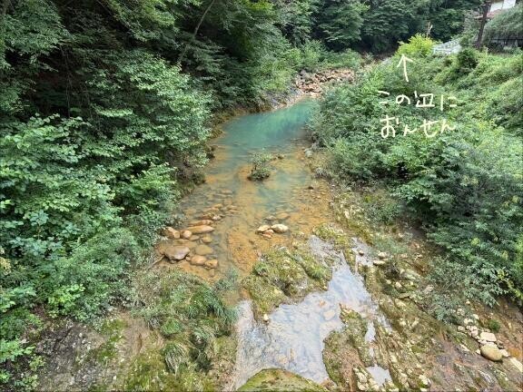 温泉行ってきた