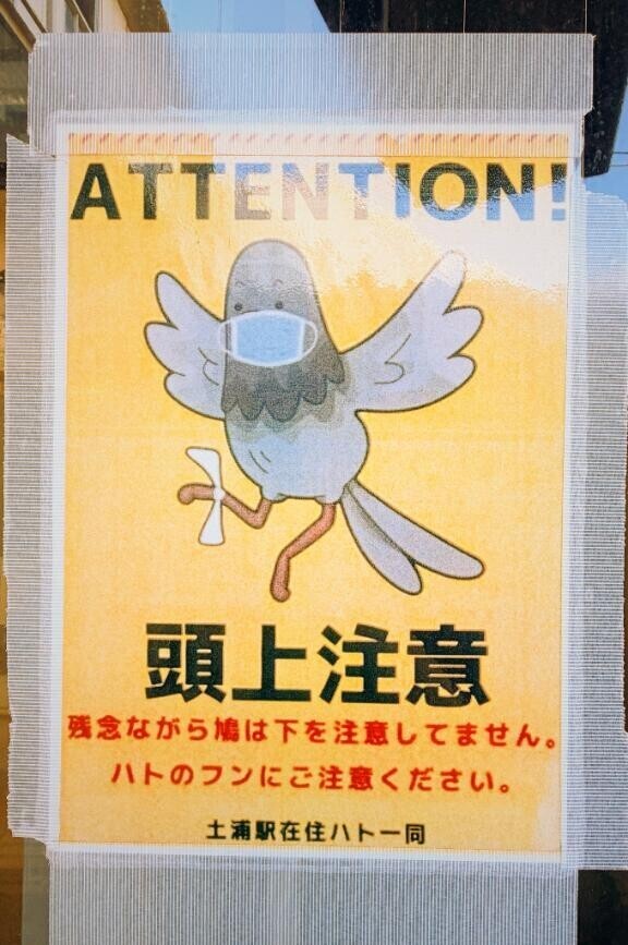 ??土浦駅在住ハト一同