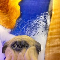 いろは