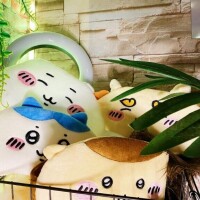 いろは