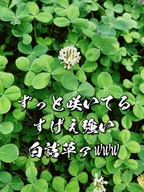 草生える
