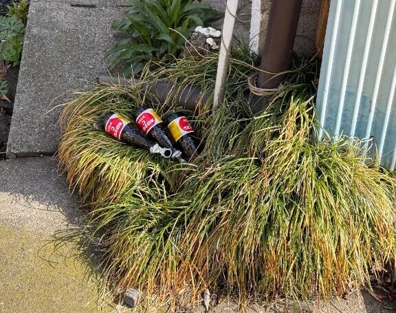 オロナミンCの巣