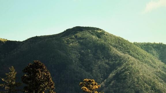 杉に囲まれた危険地帯