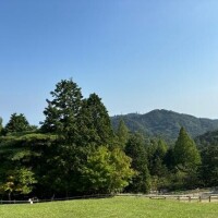 ももの