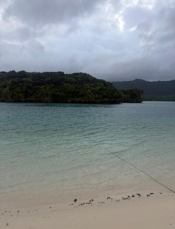 夏のおもいで?
