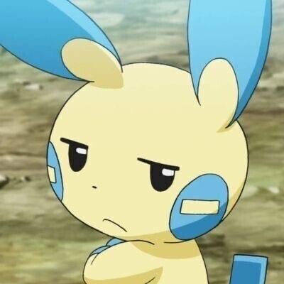 お知らせ????