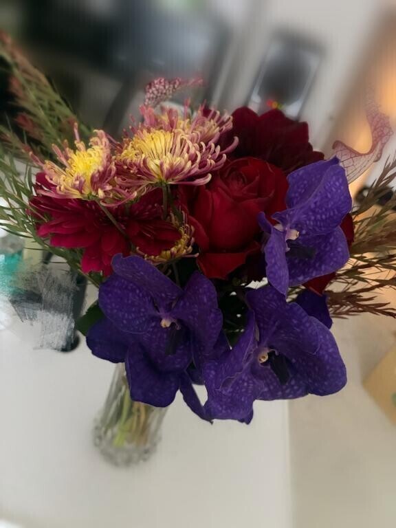 申し訳ありません