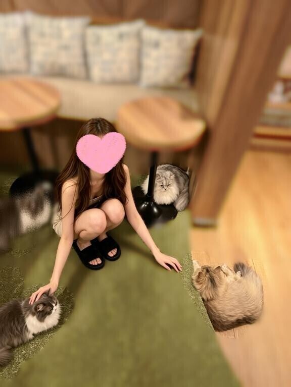 改めて自己紹介?