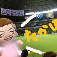 夏ｷﾀー???