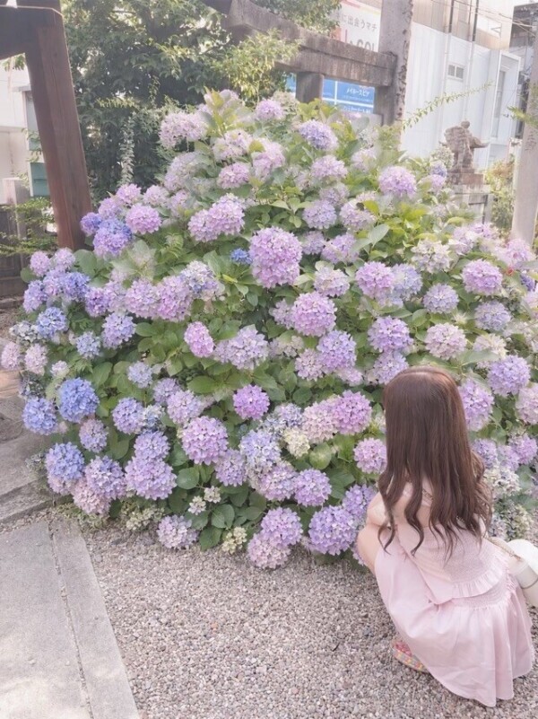 ?読め