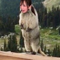 ?くーるみっと